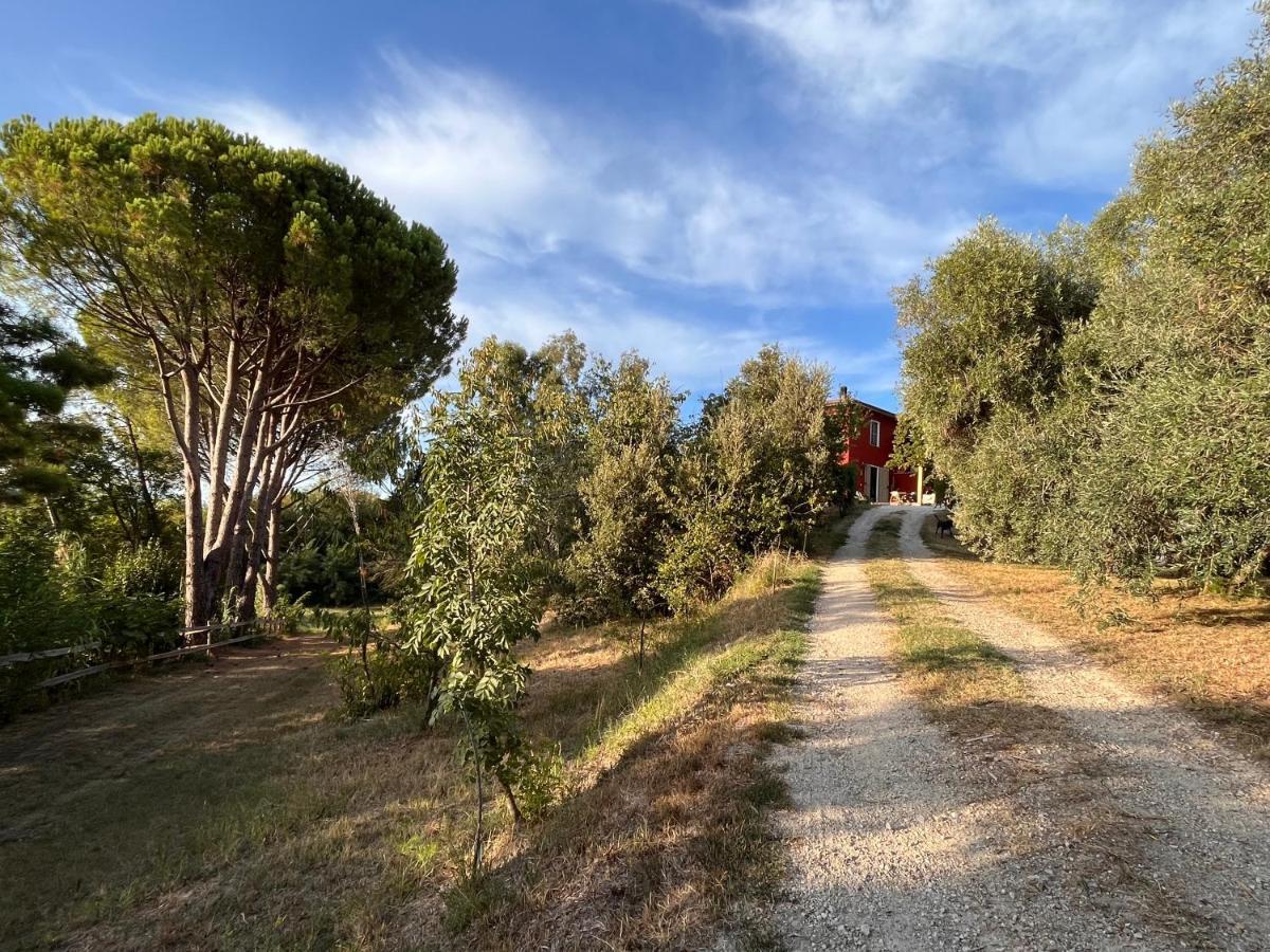 Podere Orzale Agri Hospitality Usigliano Bagian luar foto