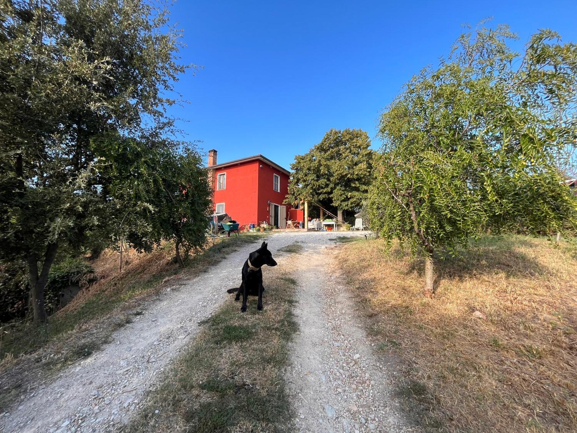 Podere Orzale Agri Hospitality Usigliano Bagian luar foto
