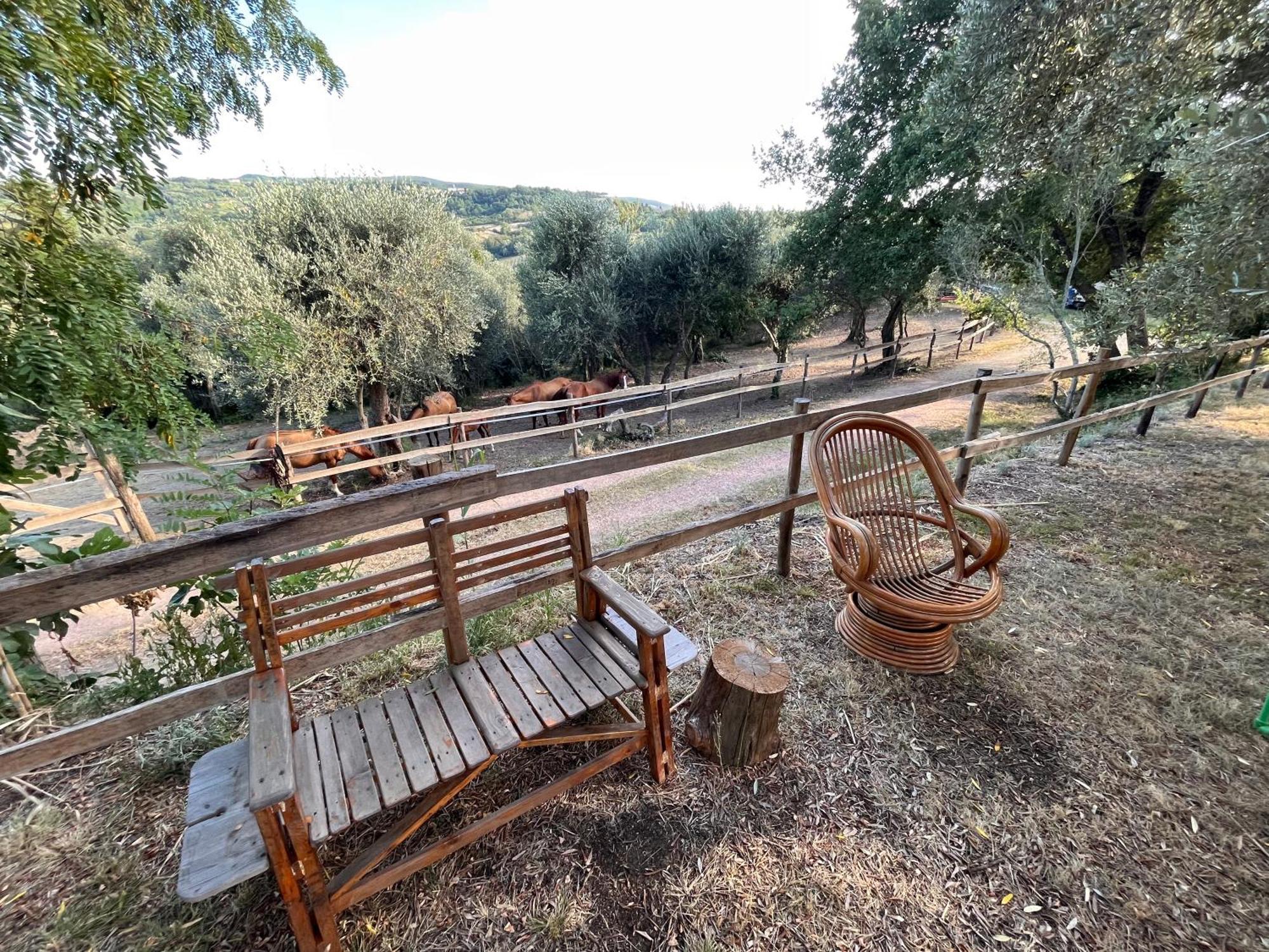 Podere Orzale Agri Hospitality Usigliano Bagian luar foto