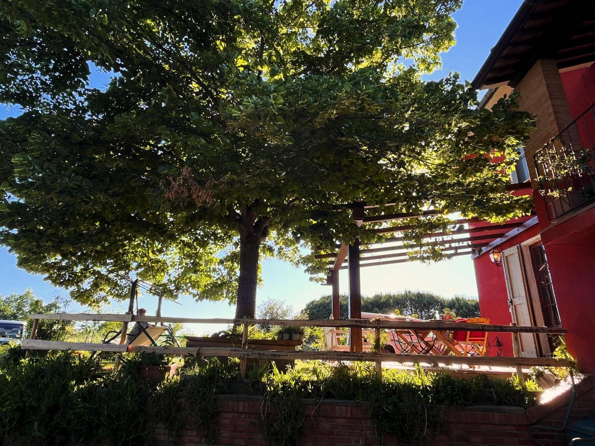 Podere Orzale Agri Hospitality Usigliano Bagian luar foto