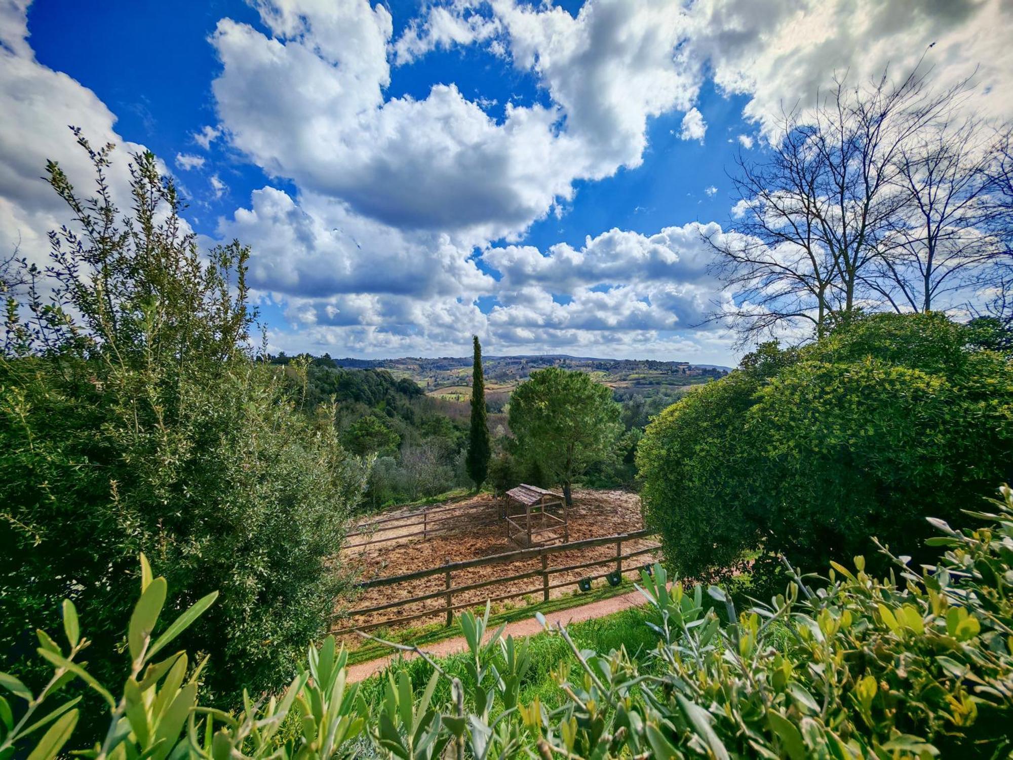 Podere Orzale Agri Hospitality Usigliano Bagian luar foto